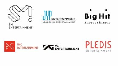 Best 9 Kpop Companies to Audition for Foreigners 70 Best 9 Kpop Companies to Audition for Foreigners