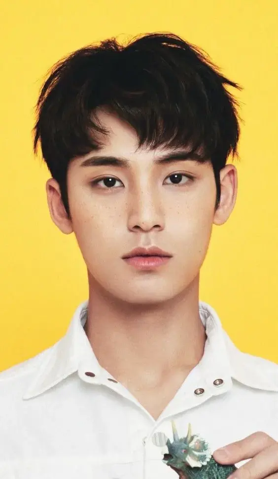 10 Unique Facts About SEVENTEEN Mingyu: CARAT’s Must Know 2 SEVENTEEN Mingyu