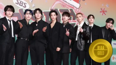 Stray Kids Becomes K-Pop Artist with Most RIAA Gold Certifications 3 Stray Kids RIAA Gold