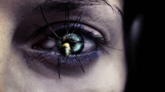 Bots Flood Websites With Their Demand for AI Data