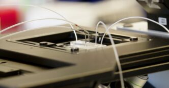 Physicians Announce Initial Pregnancy Achieved Through Innovative AI Technique