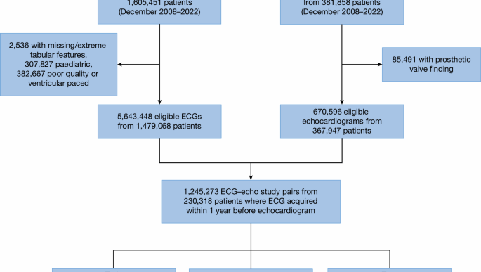 AI-Based Detection of Structural Heart Disease from Electrocardiograms