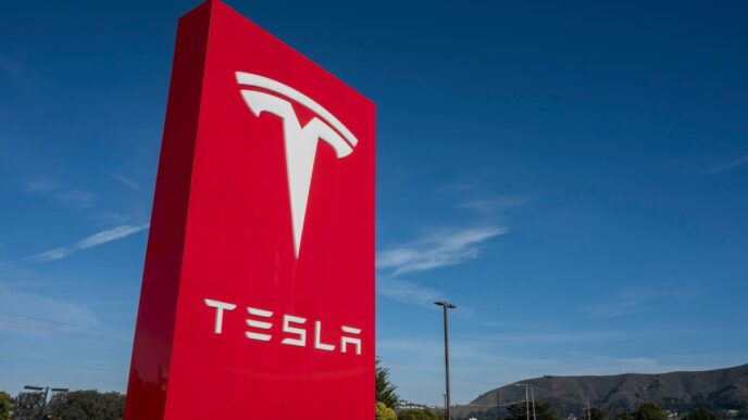 Tesla Launches in India After Nine Years Since Elon Musk First Hint