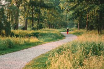 To and From: A Career Path in AI