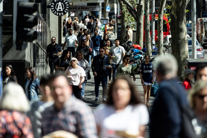 AI could dramatically reshape Australia's economy. (AAP: Diego Fedele)