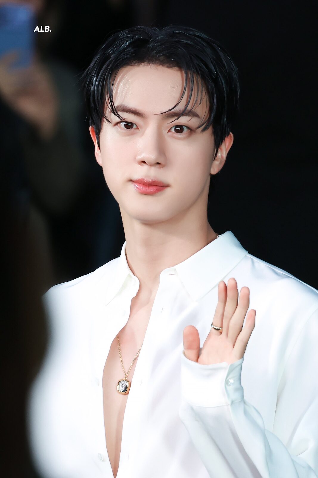 Jin Shoulder View