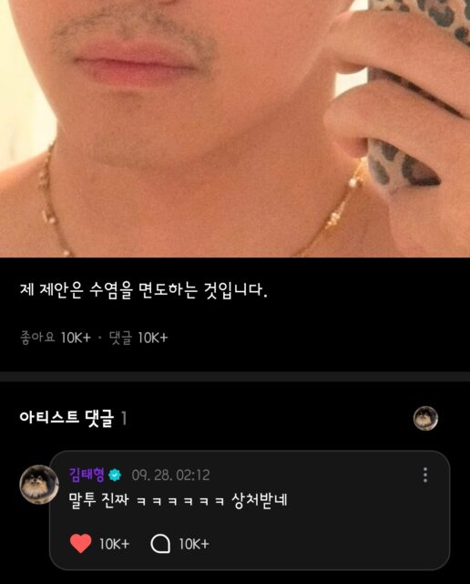 V reply screenshot