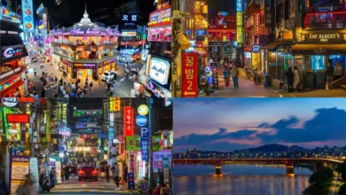 Exploring Seoul’s Creative Neighborhoods Loved by International K-Pop Fans 11 Exploring Seoul’s Creative Neighborhoods Loved by International K-Pop Fans