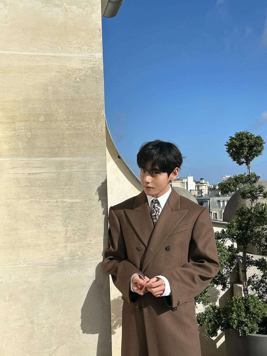 BTS’s V