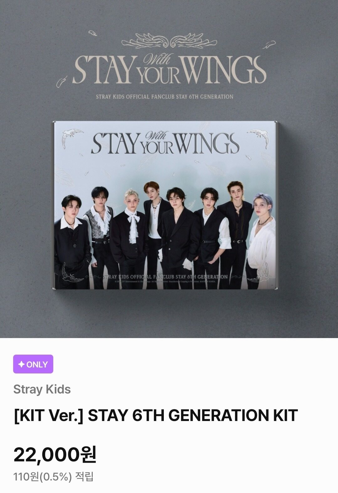Stray Kids' Latest Announcement Faces Significant Backlash 3 Fan kit items separately priced