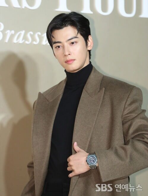 Cha Eunwoo