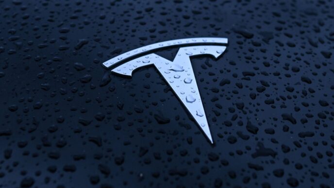 Tesla logo seen on Tesla vehicle