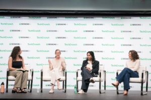 The Increasing Risks and Complexities of Funding Growth-Stage AI Startups