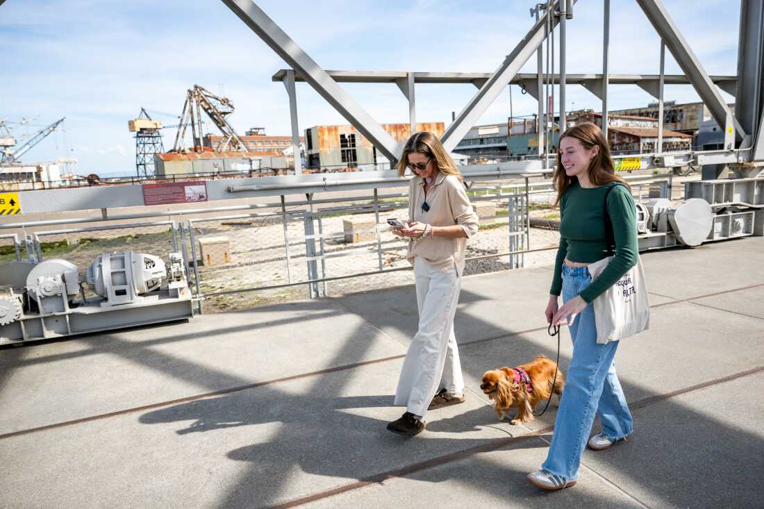 Sonya Sotinsky has built two websites detailing her experience in voice banking and tells her story at conferences.