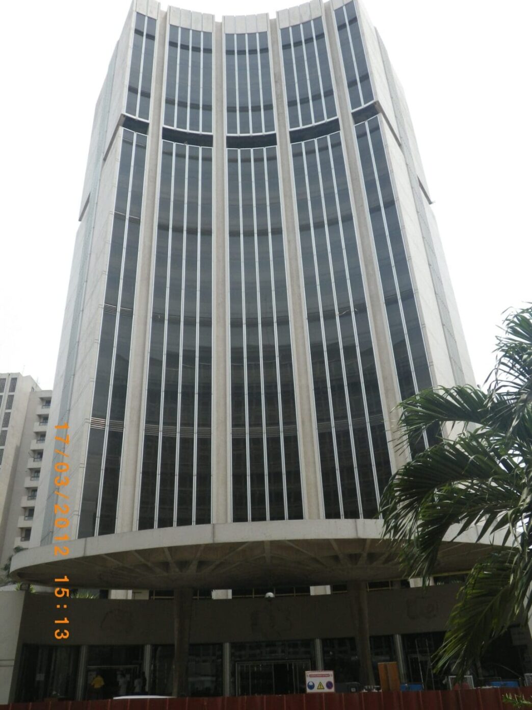 Kenyan dirt road and loan officer using smartphone with cattle herd