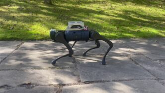 AI Robot Inspired by Animals Masters Navigation of New Terrain