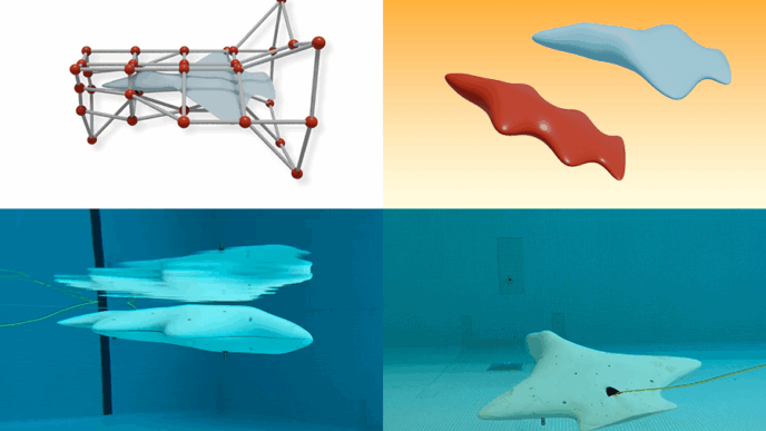 Artificial Intelligence Drives Autonomous Underwater Glider Technology | MIT News