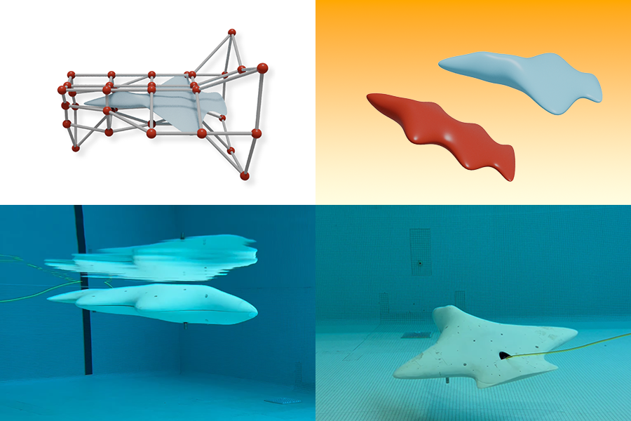Artificial Intelligence Drives Autonomous Underwater Glider Technology | MIT News