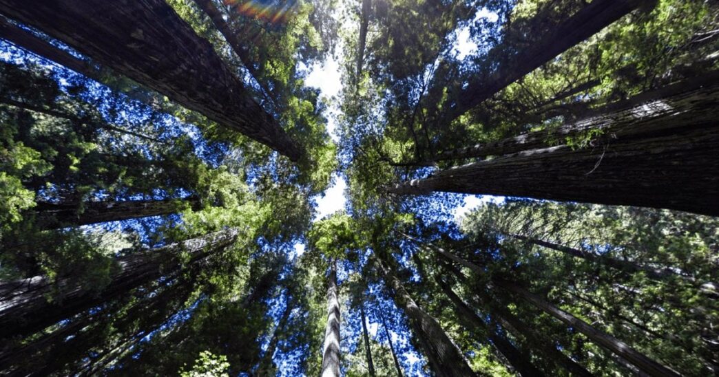 Google 2025 Environmental Report