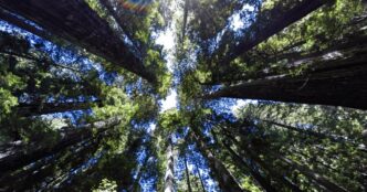 Google 2025 Environmental Report