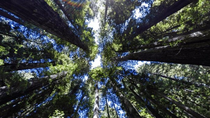 Google 2025 Environmental Report