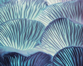 Six Rules for Handling Legal Risks in AI Implementation