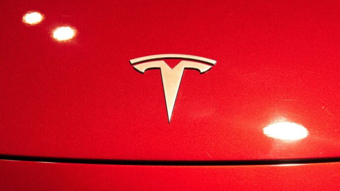 A Tesla logo seen on a Tesla Model 3 car.