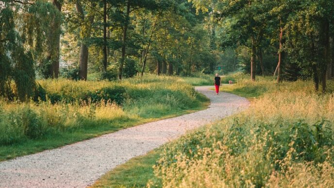 To and From: A Career Path in AI