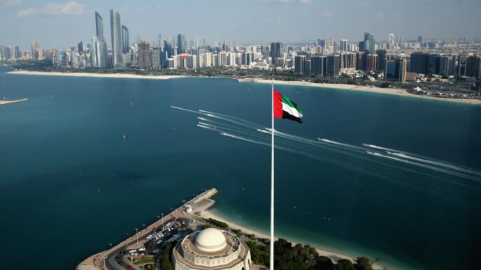 UAE flag flying in front of ocean/skyline chips