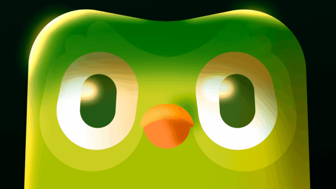 Duolingo owl