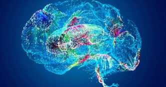 Doctors Shocked as Google’s Healthcare AI Invents Nonexistent Human Body Part