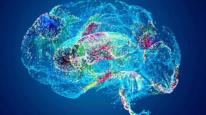 Doctors Shocked as Google’s Healthcare AI Invents Nonexistent Human Body Part