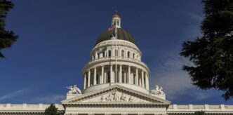 States Implementing Safeguards for AI Amid Lack of Robust Federal Oversight